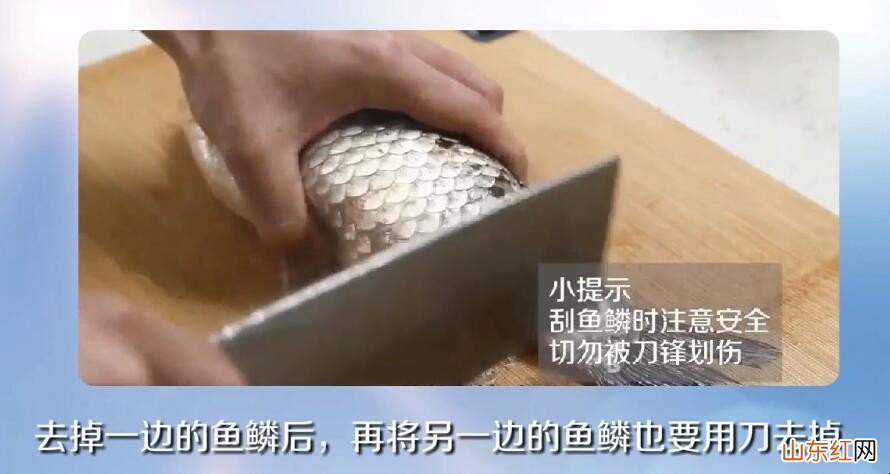 新手杀鱼怎么杀