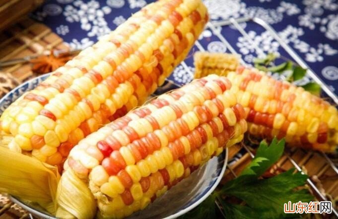 黏玉米和普通玉米的区别是什么