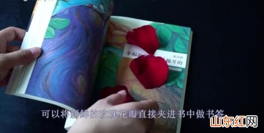 玫瑰花瓣有哪些用途