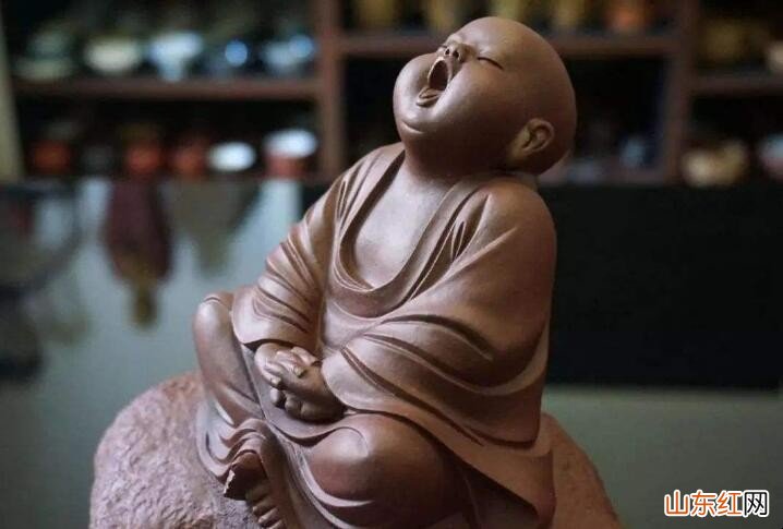 茶宠怎么养