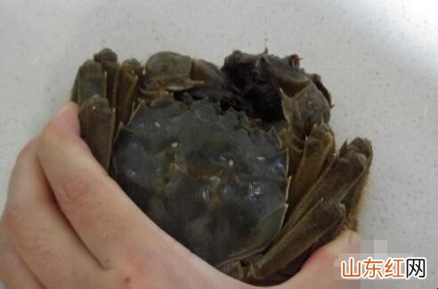 大闸蟹怎么绑绳子
