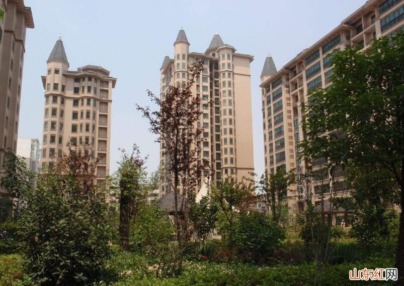 小区一般种什么树