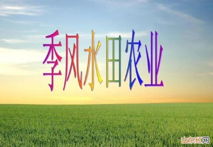 季风水田农业的特点是什么