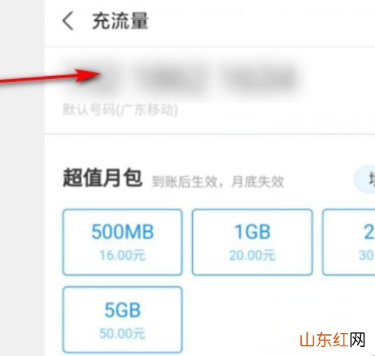 怎样用话费充流量
