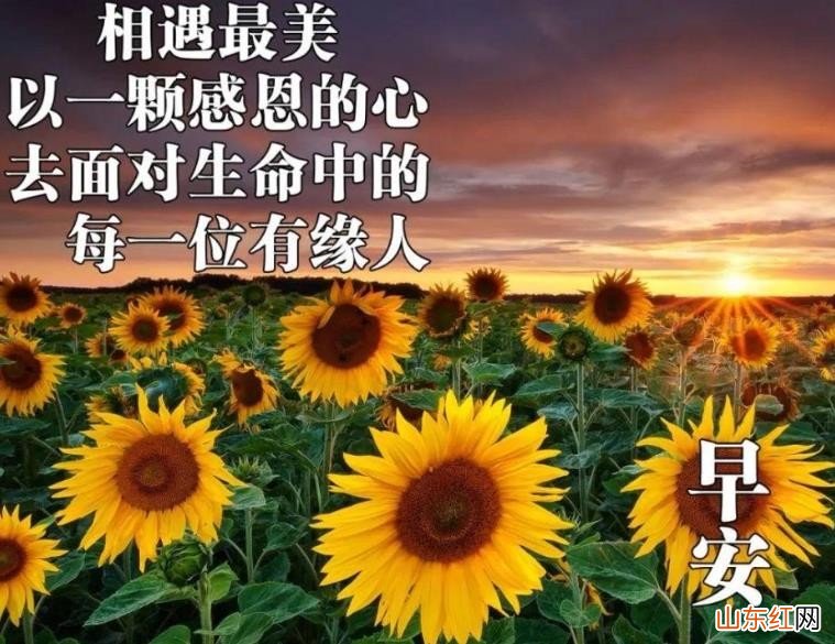 最暖心的早安问候语有哪些