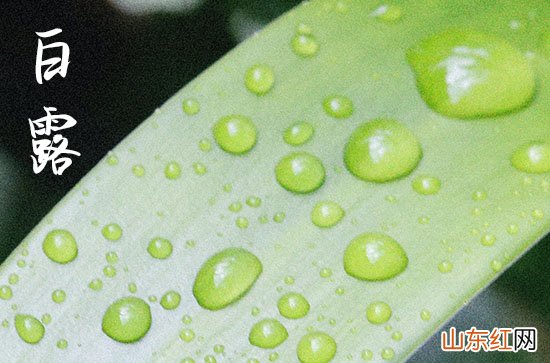 白露秋分夜一夜凉一夜是什么意思