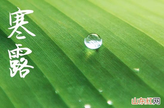 2023年10月8日寒露几点