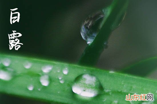 白露时间是几点几分几秒