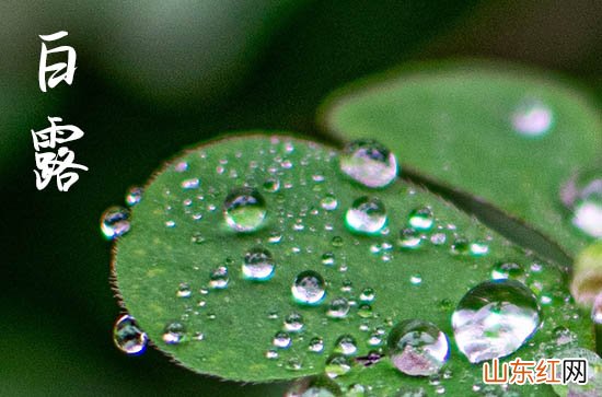白露是什么季节 白露一夜凉一夜是什么意思