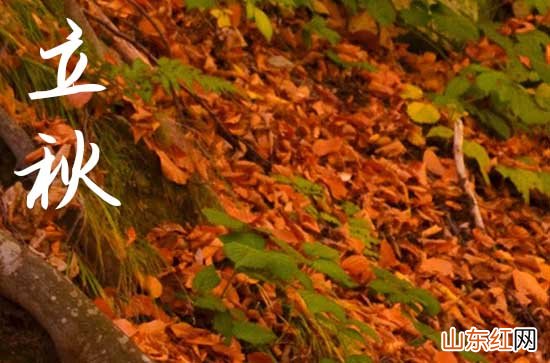 立秋发给闺蜜的话