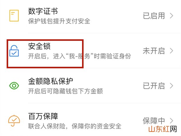 微信进去钱包怎么设置密码 微信进去钱包怎么设置密码保护