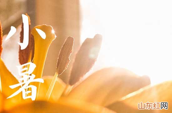 134句 适合小暑节气的文案