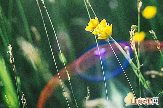今年三伏天持续到什么时候2023 三伏天吃什么好补身体