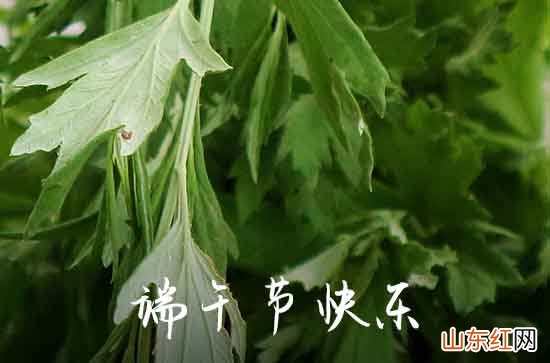 2023给领导的端午祝福语88句