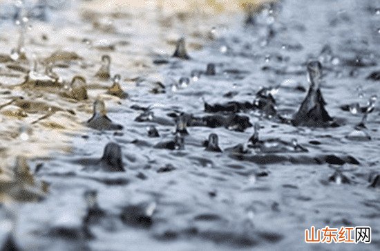 31日湖南大部有分散性阵雨或雷阵雨 长沙未来5天雨水频繁