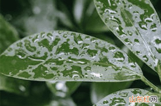 北京大部30日有阵雨或雷阵雨 最高气温将降至26℃