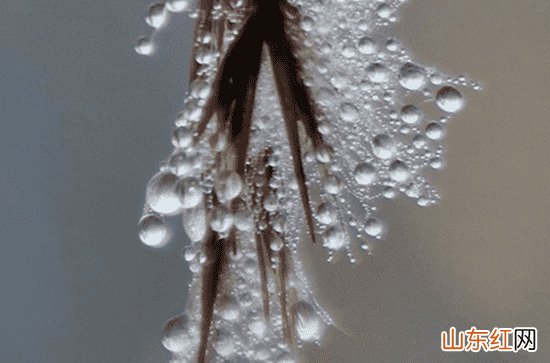 2023年杭州什么时候出梅 杭州梅雨季节是哪几个月