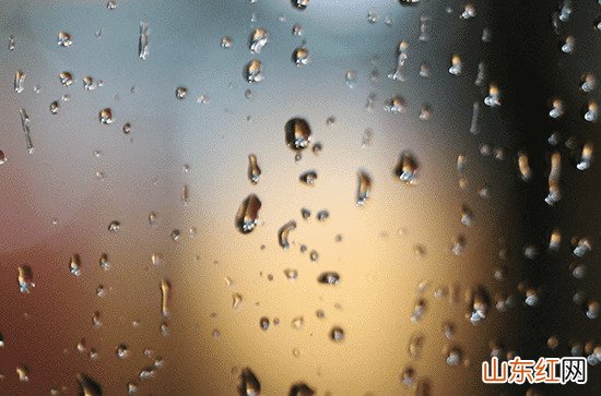 适合下雨天气的语录【80句】