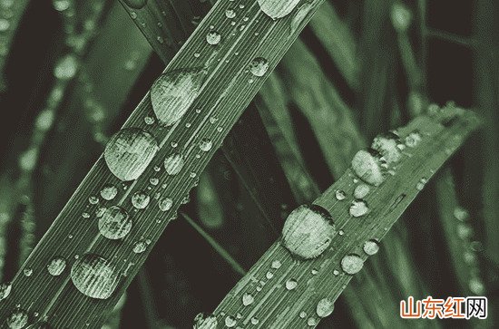 下雨天气发朋友圈经典文案80句