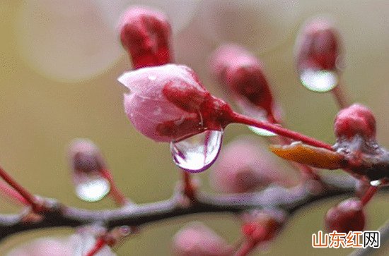 2023江苏梅雨季节 2023年江苏什么时候入梅