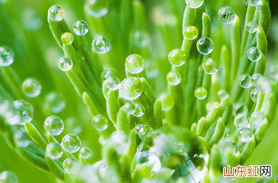 2023年黄梅天气从什么时候开始