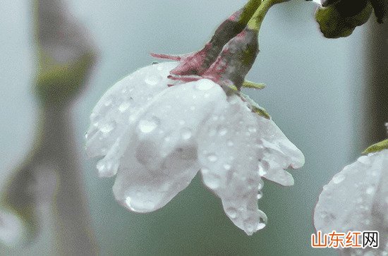 2023年端午下雨好还是不下雨好 2023端午节哪几天是法定节假日