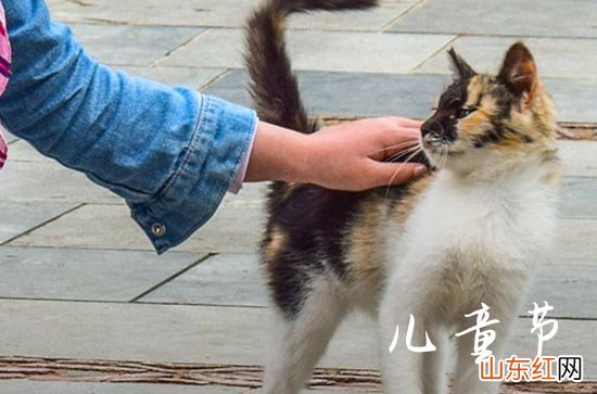 2023儿童节的放假安排 2023六一儿童节放假最新规定