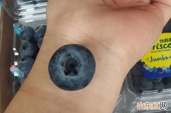 吃了一颗发霉的蓝莓要紧吗 蓝莓怎么保存不发霉