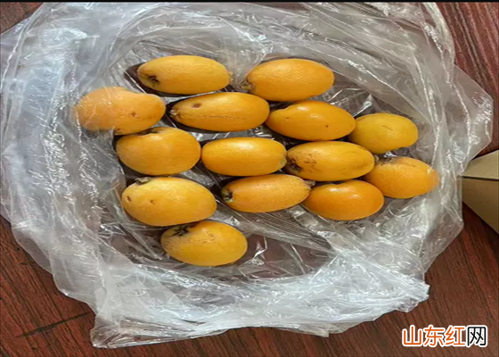 枇杷的保存方法有哪些