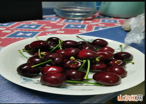采摘樱桃的季节是什么时候