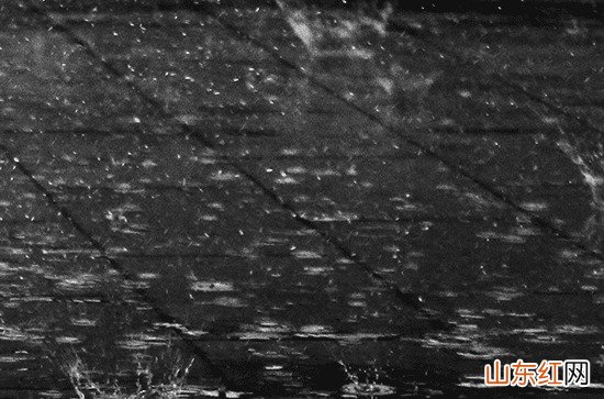 东莞12日起三天有大雨到暴雨降水过程 最强降水时段在12日白天、13日夜间到14日