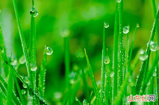 湖南梅雨季节是不是天气很冷 湖南梅雨季节天气怎么样