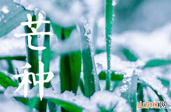 2023年芒种后九天交运怎么算 交运芒种后九天算芒种当天吗