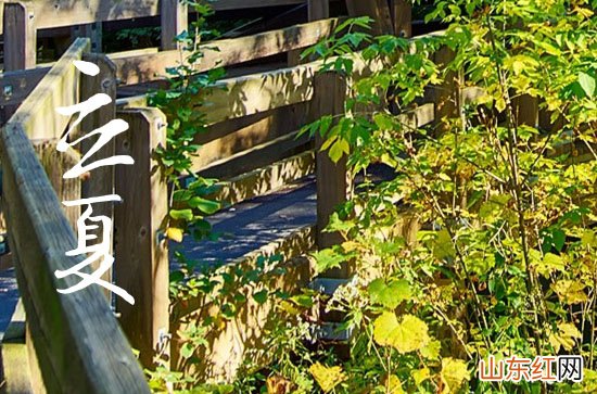 2023年夏天比往年长吗 2023年夏天比往年来的晚点吗