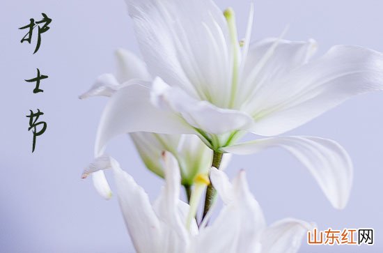 2023年护士节祝福语贺词