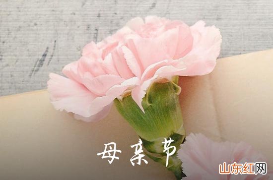 2023母亲节优美的QQ祝福语集合40条