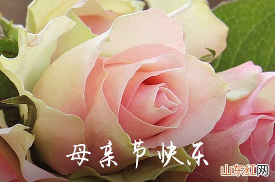 母亲节祝愿语大全2023版