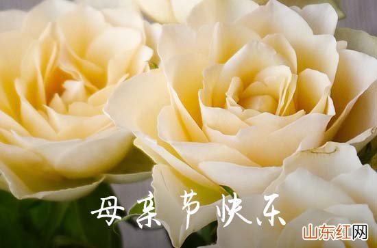 2023年母亲节微信祝福语