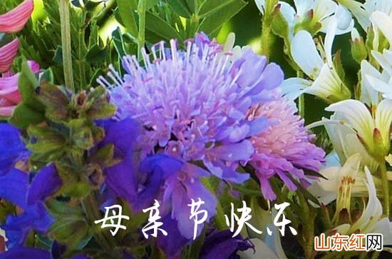 2023年母亲节祝福QQ问候语汇编57条