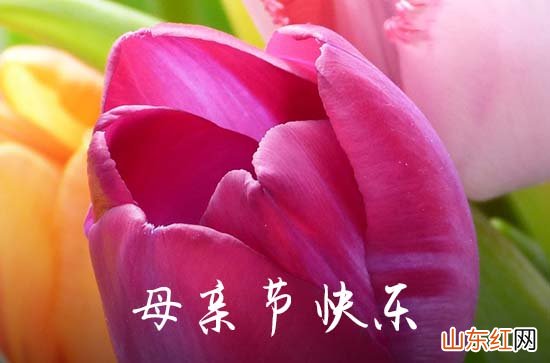 2023年精选母亲节祝福问候语大汇总52句