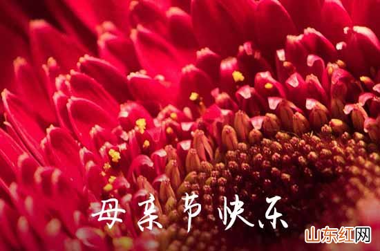 2023年母亲节祝福问候语锦集48条