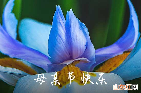 2023年感人母亲节微信祝福语集锦49条