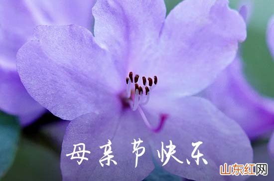 2023年母亲节感人祝愿语