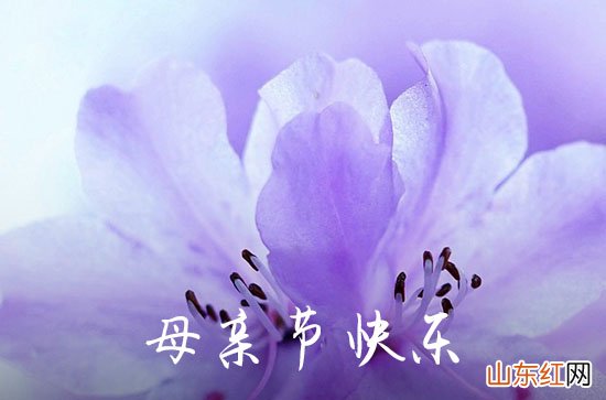2023年母亲节微信祝福语39句