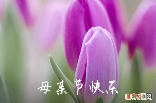 2023年母亲节问候语大全