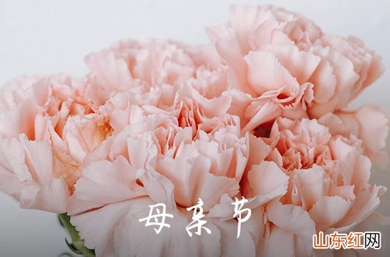 2023年母亲节祝福佳句