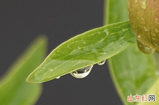 广东8日大部地区未来三天阳光露脸 粤西等地局部有阵雨