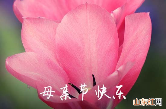 39句 2023年母亲节祝福微信问候语