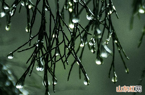 安徽部分地区6日有中雨 风力增强阵风达7级