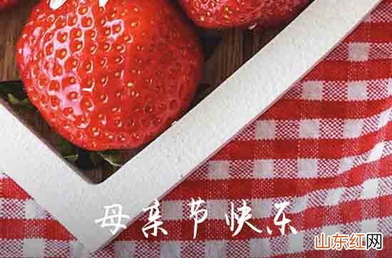 母亲节的来历及习俗 母亲节的风俗盘点